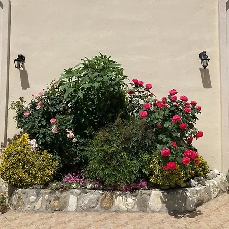 Appartamento Panorama Stavros (Thessaloniki)