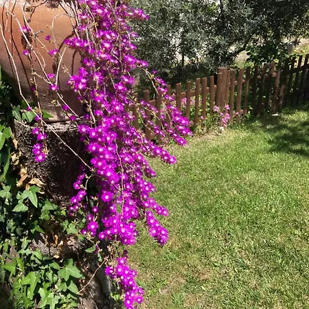 Apartmán Panorama *